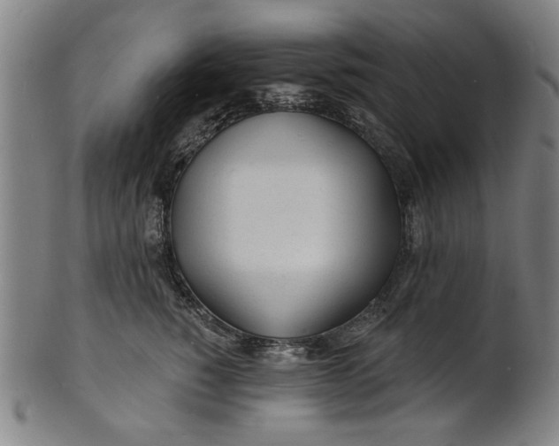 X0000100840760200807111151