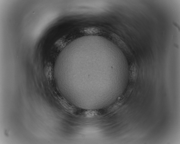 X0000100840762200807111151