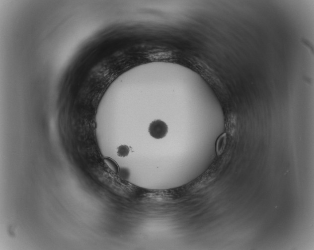 X0000100840763200807111151