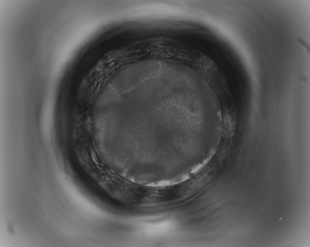 X0000100840765200807111151