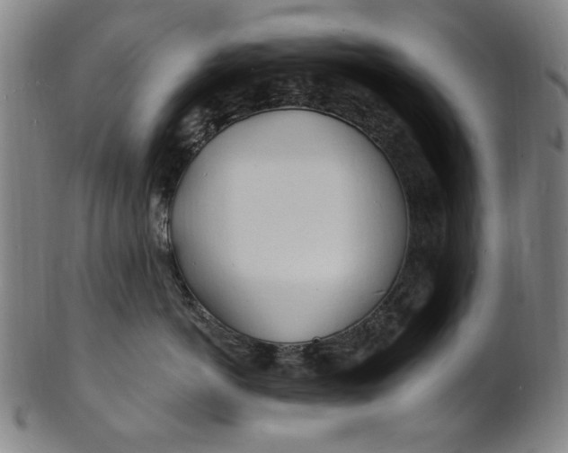 X0000100840766200807111151