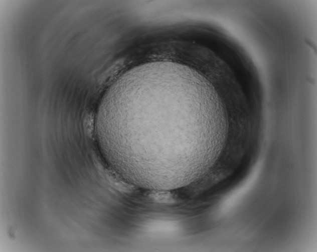 X0000100840767200807111151