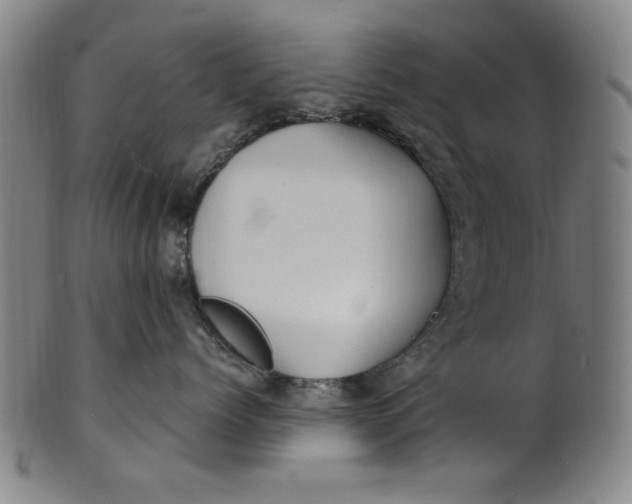 X0000100840768200807111151