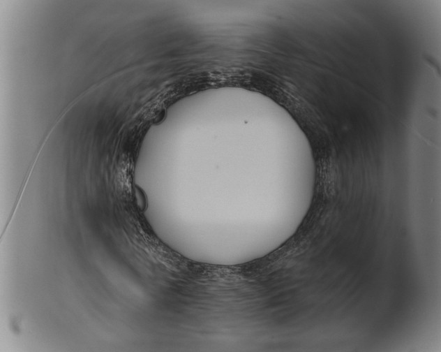 X0000100840770200807111150