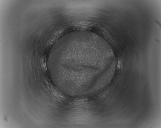 X0000100840771200807111150