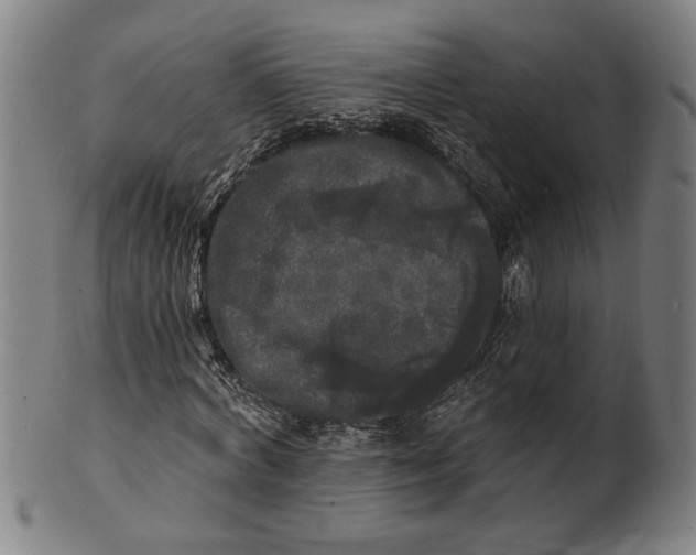 X0000100840772200807111150