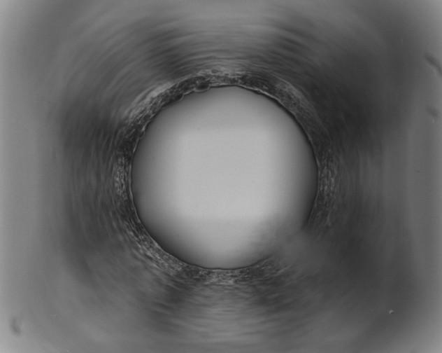 X0000100840773200807111150