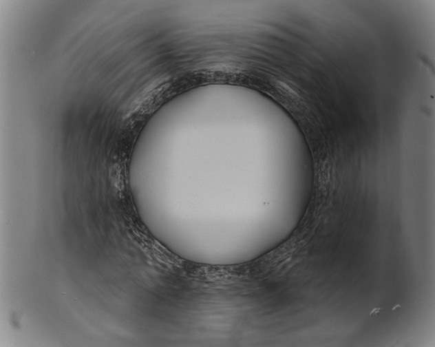 X0000100840774200807111150