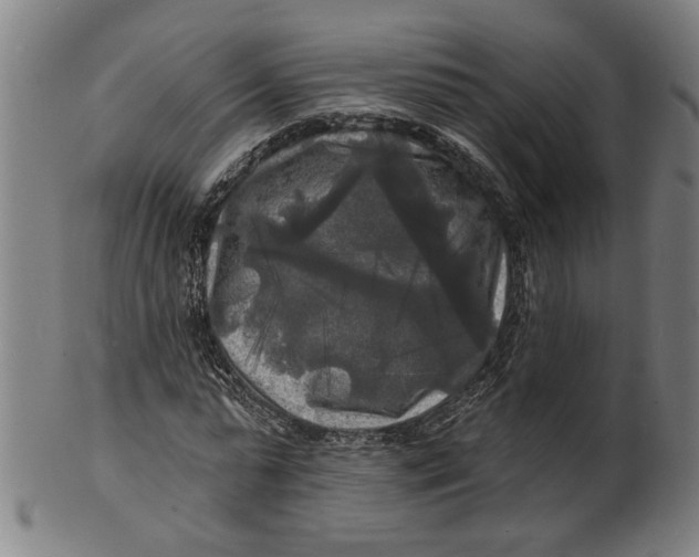 X0000100840775200807111150