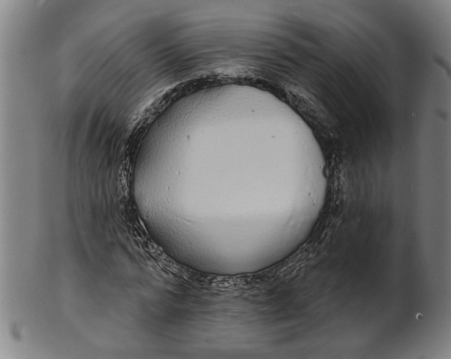 X0000100840776200807111150