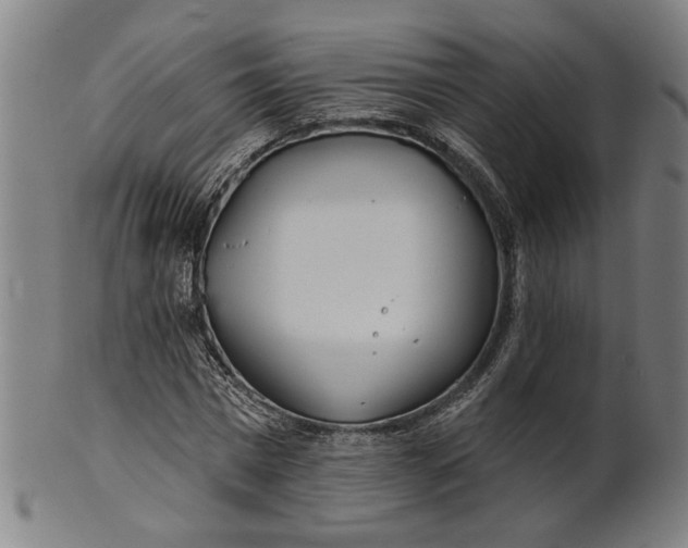 X0000100840777200807111150