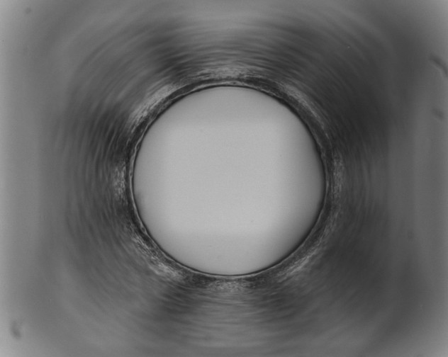 X0000100840778200807111150