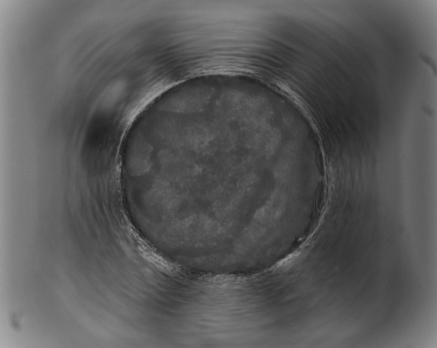 X0000100840779200807111150