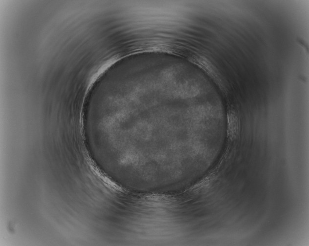 X0000100840780200807111150