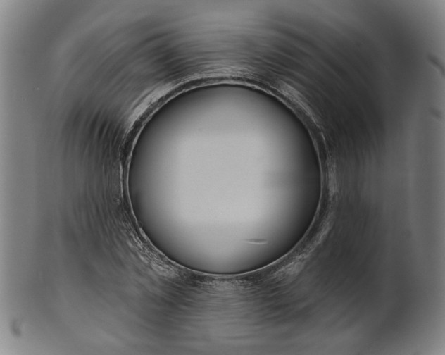 X0000100840781200807111150