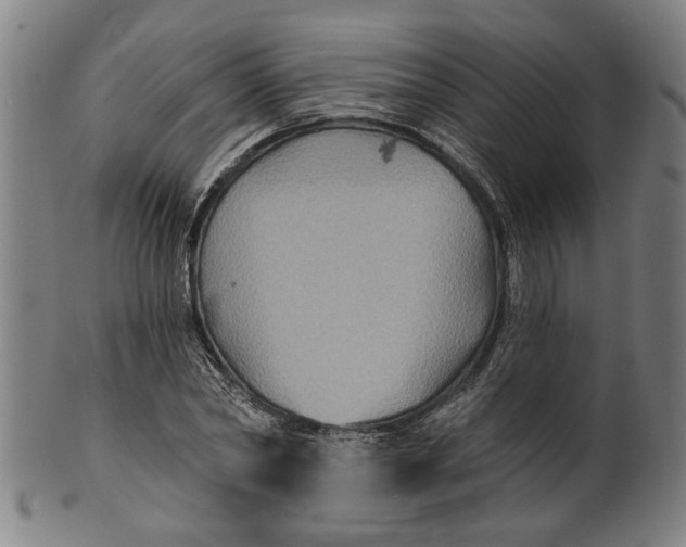 X0000100840782200807111150