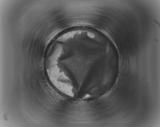 X0000100840783200807111150