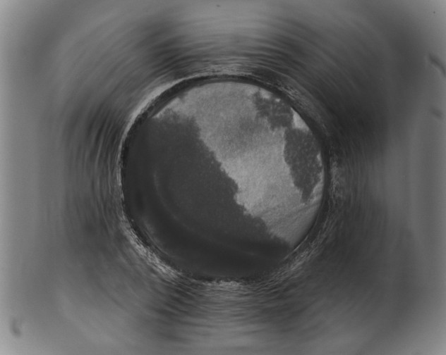 X0000100840784200807111150