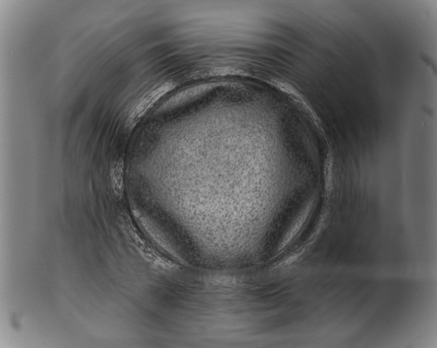 X0000100840785200807111150