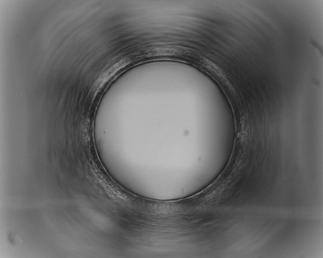 X0000100840786200807111150