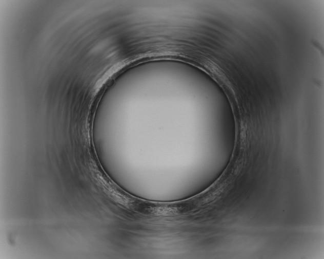 X0000100840789200807111150