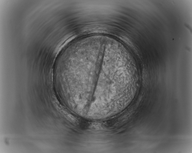 X0000100840790200807111150