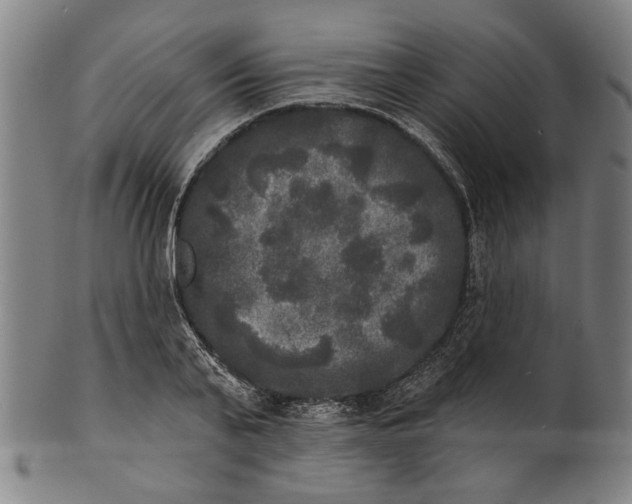 X0000100840791200807111150