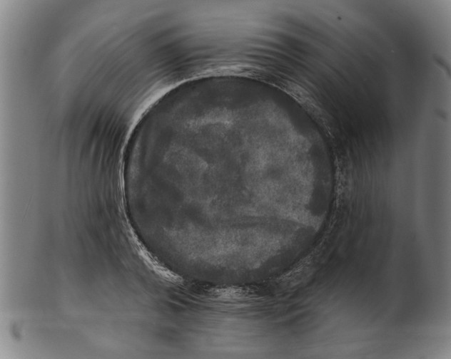 X0000100840792200807111150