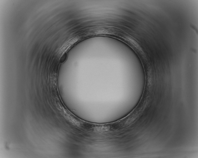 X0000100840793200807111150