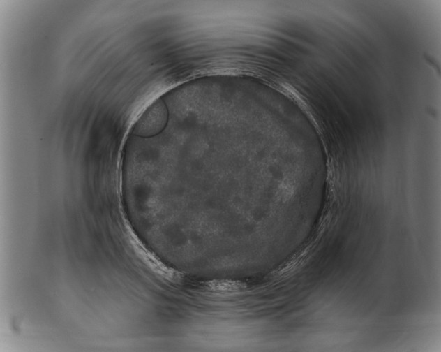 X0000100840795200807111150