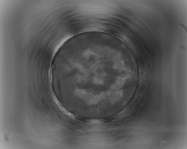 X0000100840796200807111150