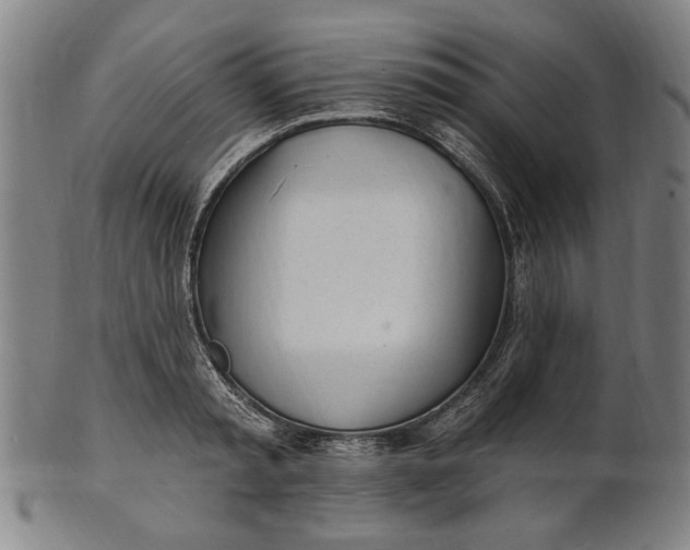 X0000100840797200807111150