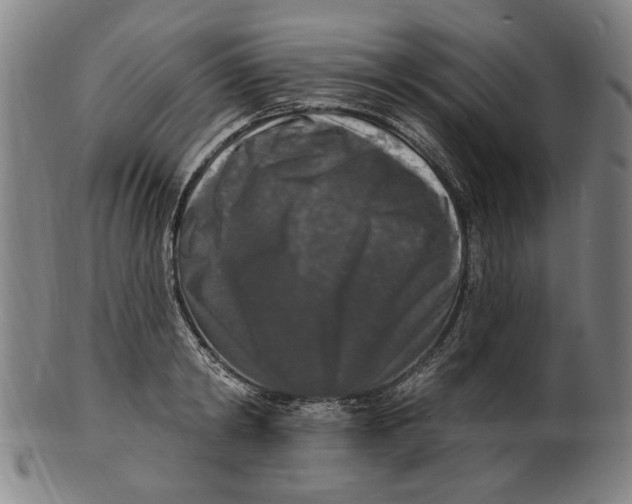 X0000100840798200807111150