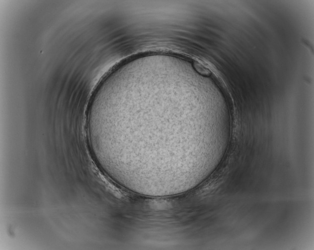 X0000100840799200807111150