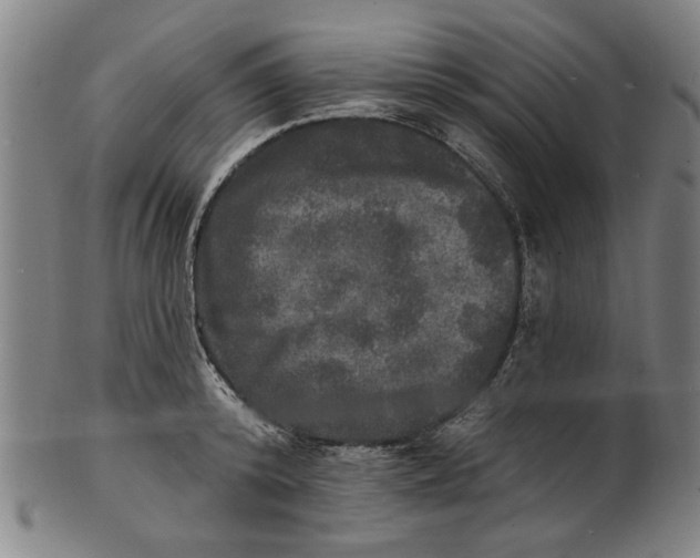 X0000100840800200807111150