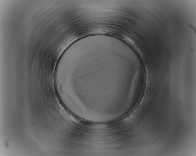 X0000100840802200807111150