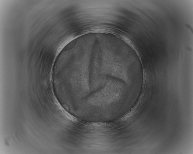 X0000100840803200807111150