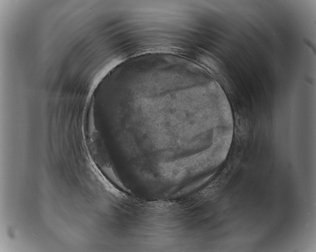 X0000100840804200807111150