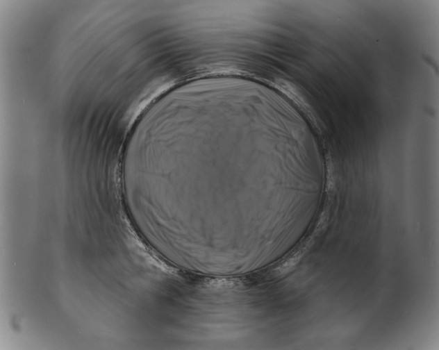 X0000100840806200807111150