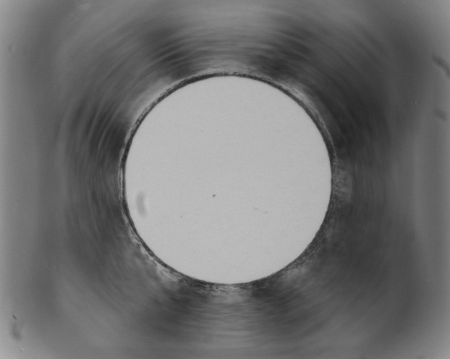 X0000100840807200807111150