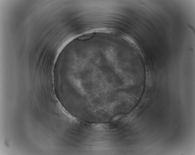 X0000100840808200807111150