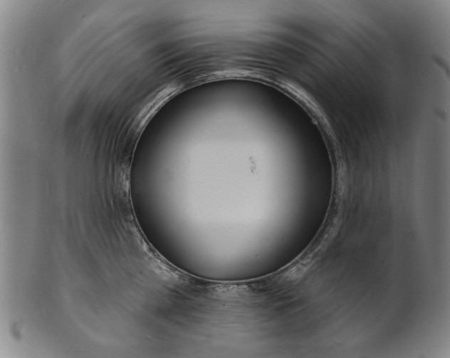 X0000100840809200807111150