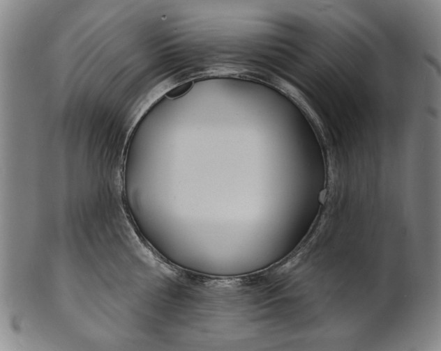 X0000100840810200807111150