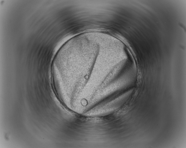 X0000100840811200807111150