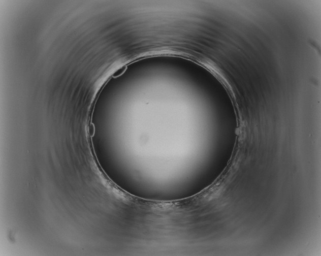 X0000100840813200807111150