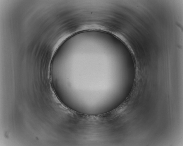 X0000100840815200807111150