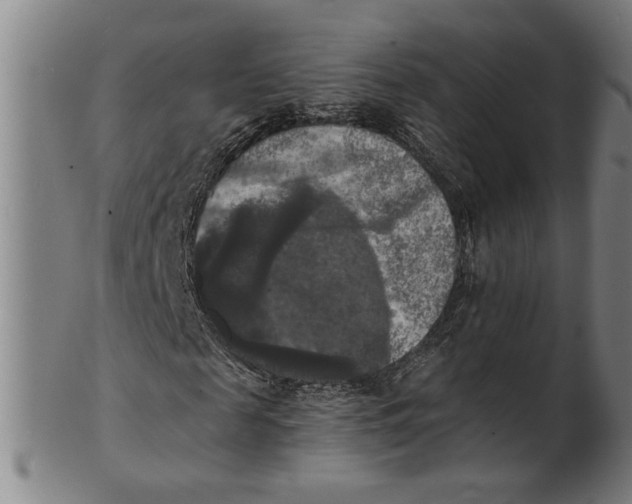 X0000100840817200807111149