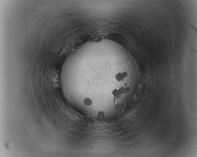 X0000100840818200807111149