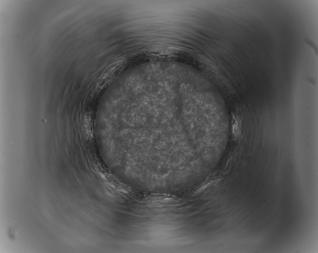 X0000100840819200807111149