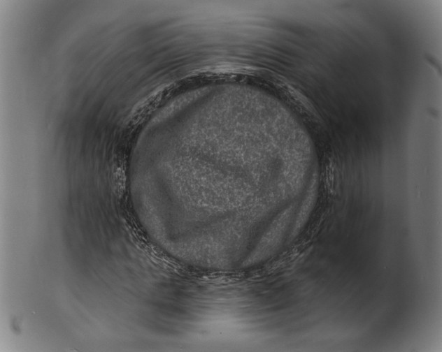 X0000100840821200807111149